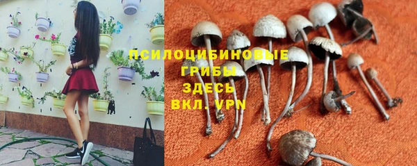 круглые Надым