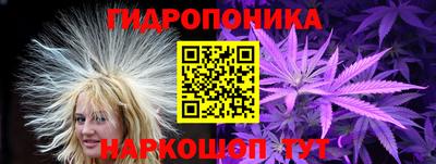 амф Гай