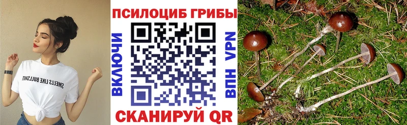 Псилоцибиновые грибы мухоморы Амурск