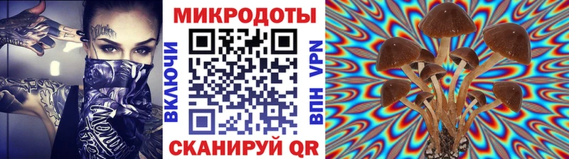Псилоцибиновые грибы мицелий Амурск