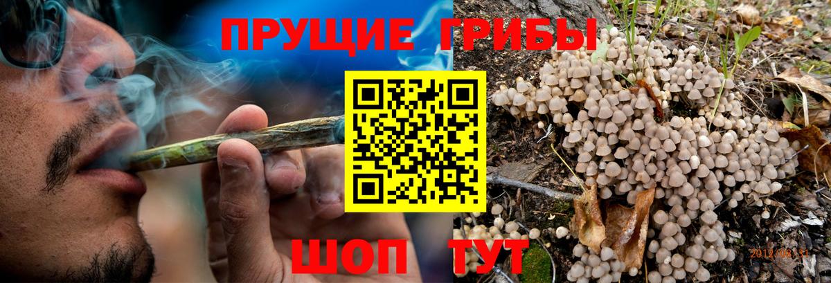 Амурск  Галлюциногенные грибы MAGIC MUSHROOMS  как найти наркотики  Вход с VPN 