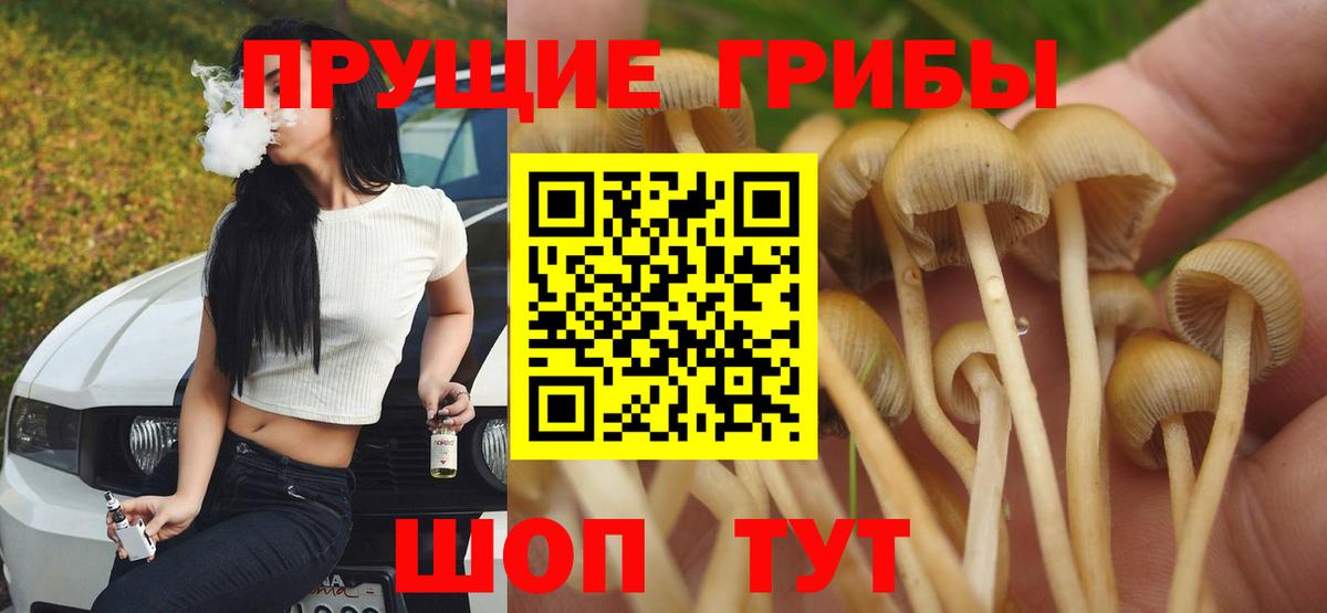 Галлюциногенные грибы MAGIC MUSHROOMS Амурск