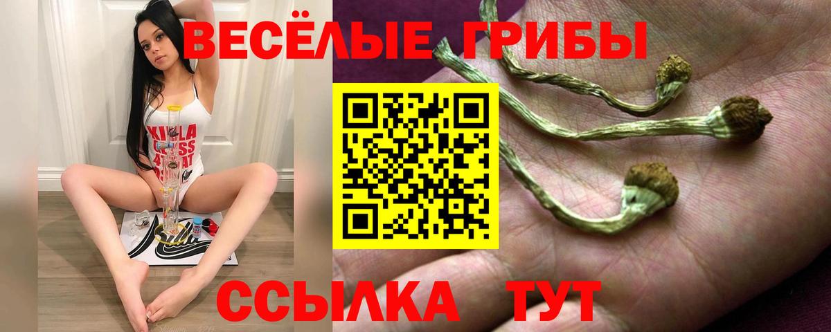 Галлюциногенные грибы Cubensis  где купить наркотик  Амурск  Вход с VPN 
